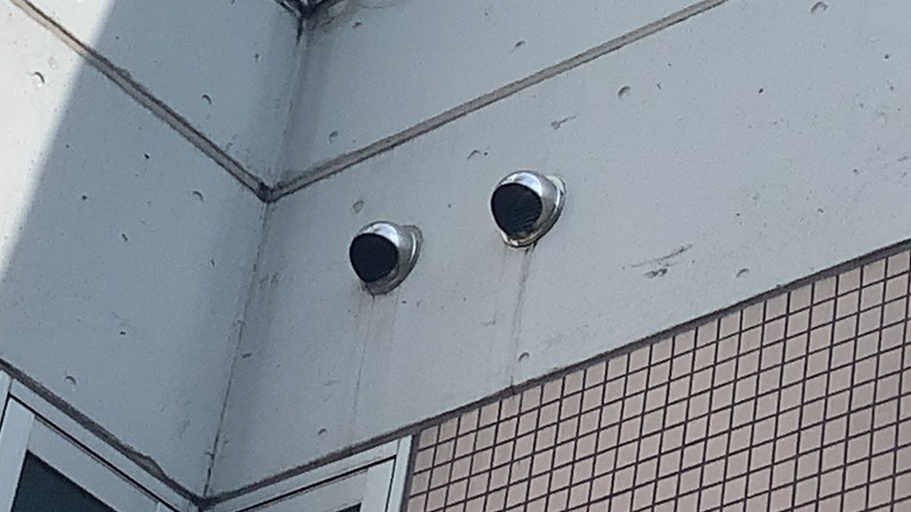 ギャラリー画像
